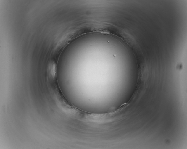 X0000111790041200907301155