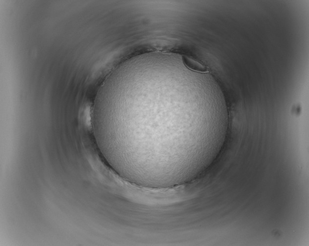 X0000111790042200907301155