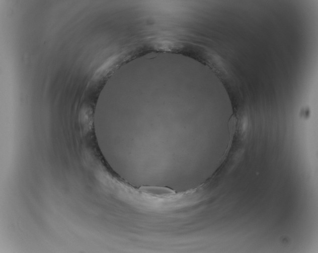 X0000111790043200907301155