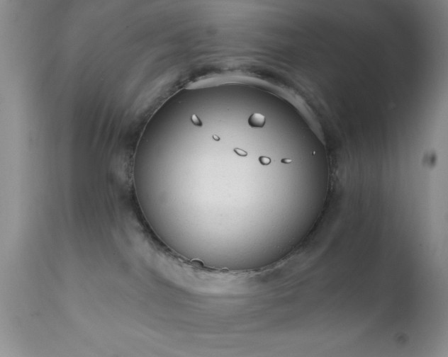 X0000111790044200907301155