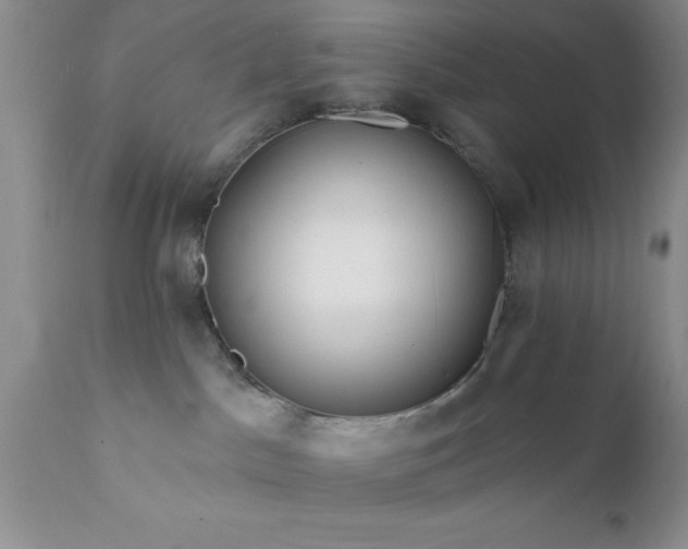 X0000111790045200907301155