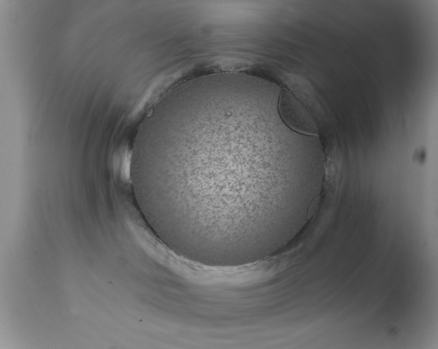 X0000111790046200907301155