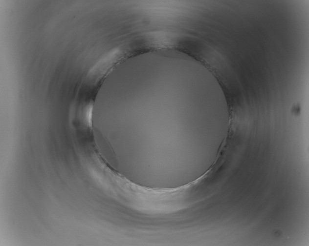 X0000111790047200907301155