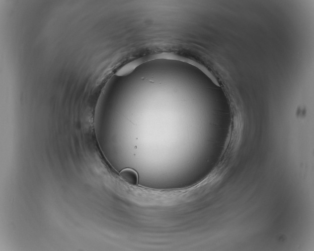 X0000111790048200907301155