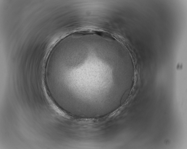 X0000111790049200907301154