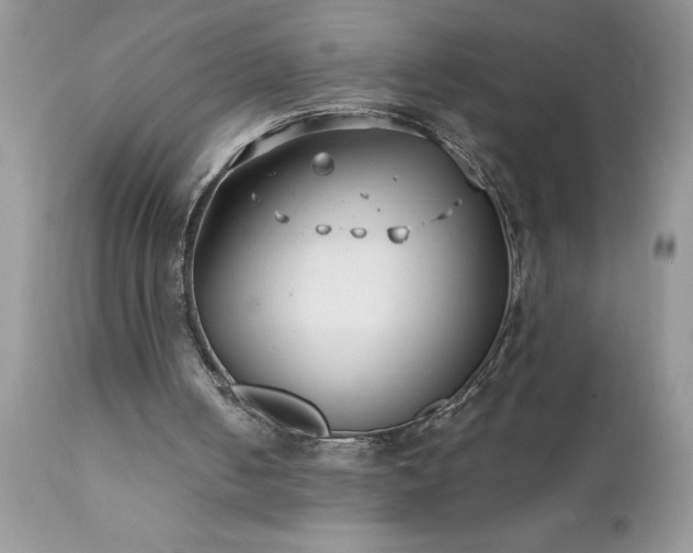 X0000111790050200907301154