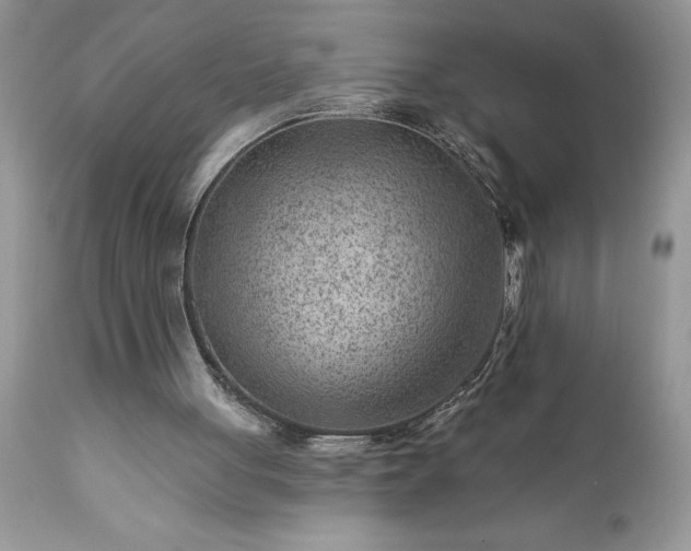 X0000111790051200907301154