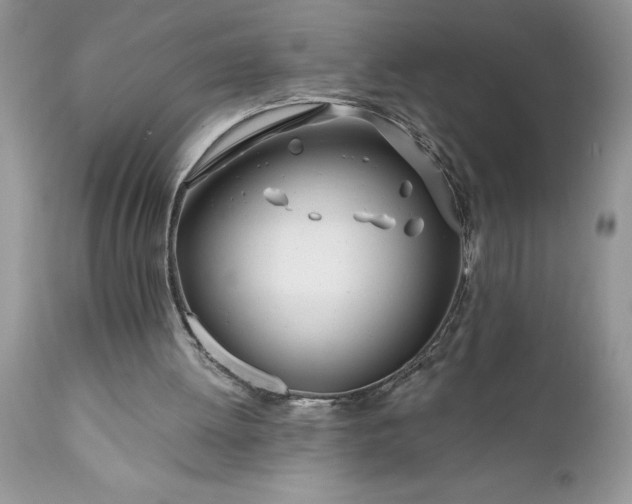 X0000111790052200907301154