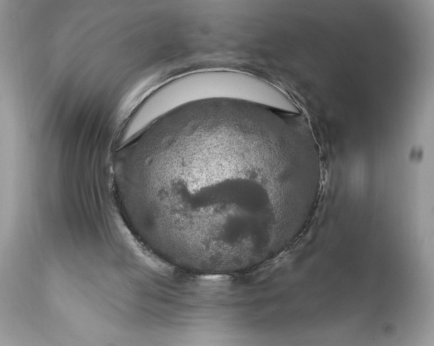 X0000111790053200907301154