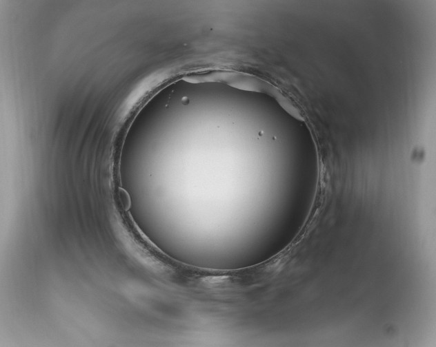 X0000111790054200907301155