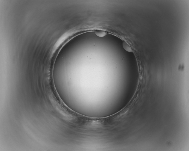 X0000111790056200907301155