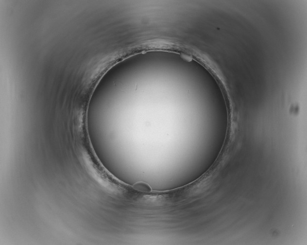 X0000111790057200907301155