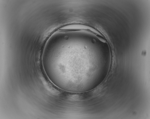 X0000111790058200907301155