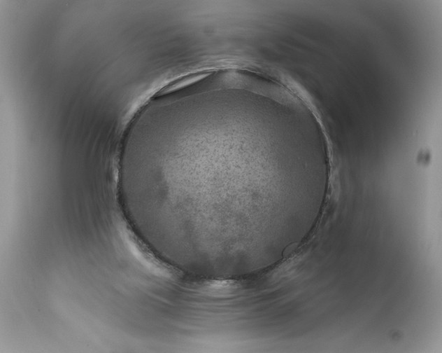 X0000111790059200907301155