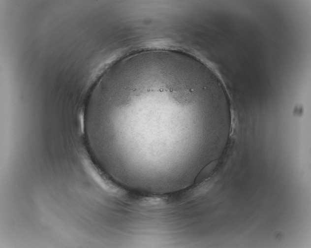 X0000111790061200907301155