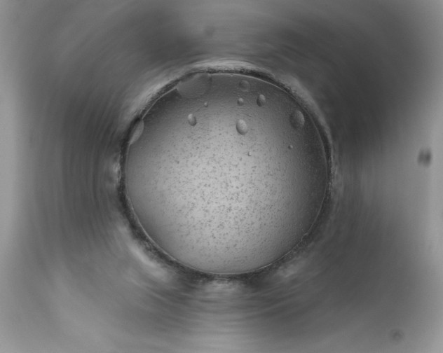 X0000111790063200907301155