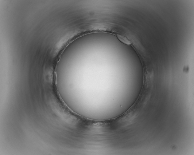 X0000111790064200907301155