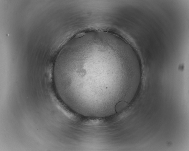 X0000111790065200907301155