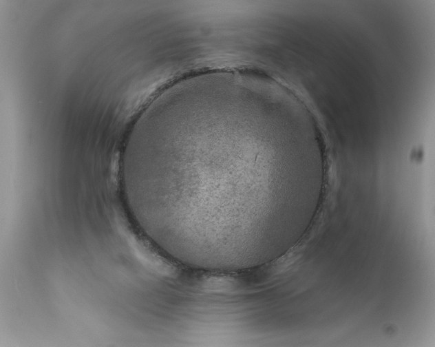 X0000111790066200907301155