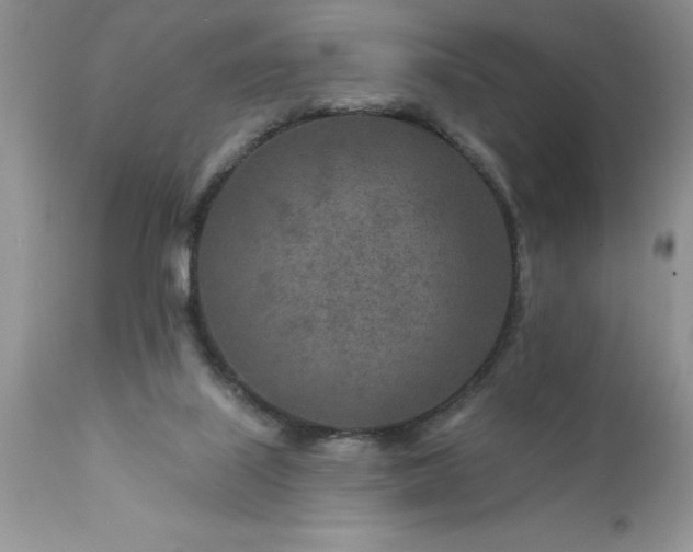 X0000111790067200907301155