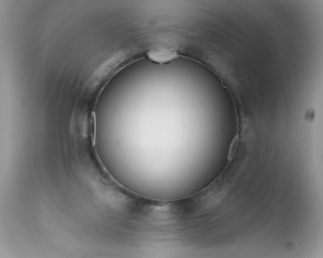 X0000111790068200907301155