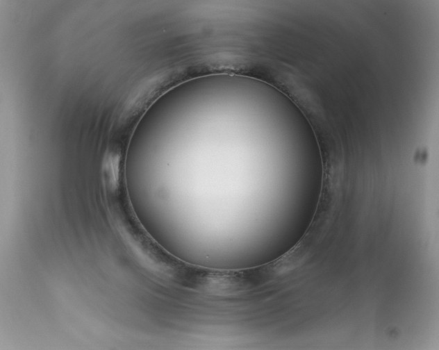 X0000111790070200907301155