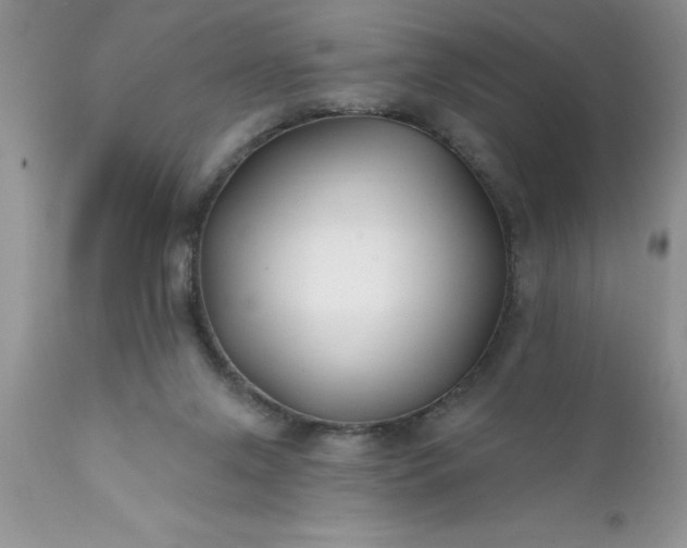 X0000111790071200907301155