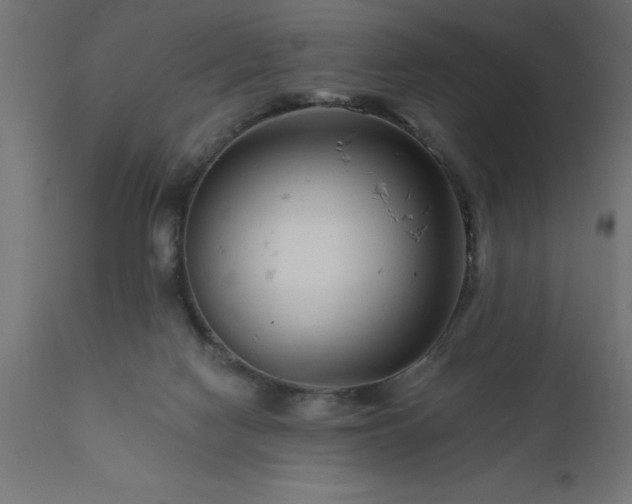 X0000111790074200907301155