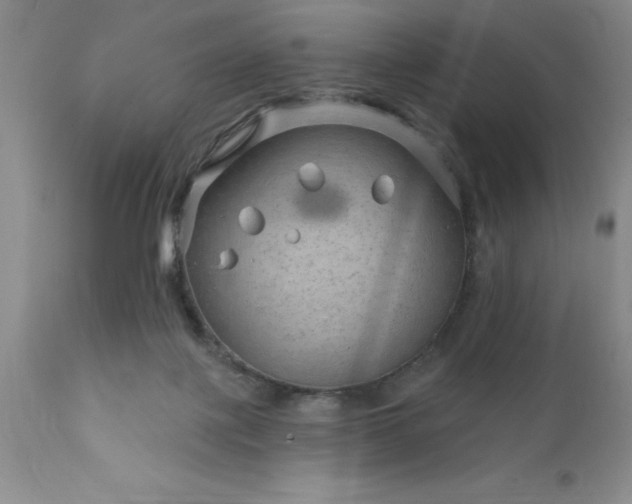 X0000111790075200907301155