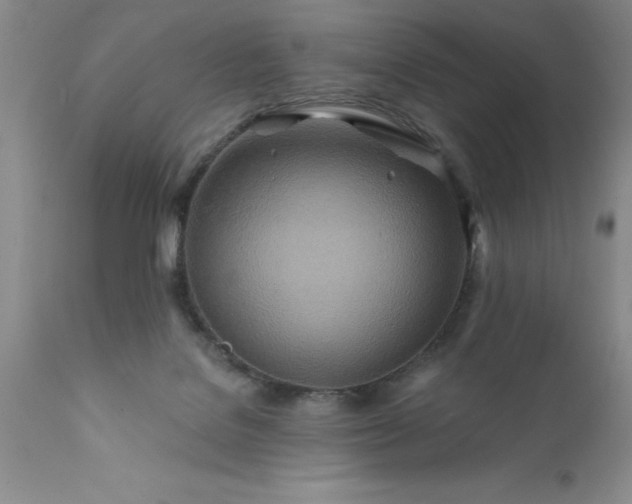 X0000111790076200907301155