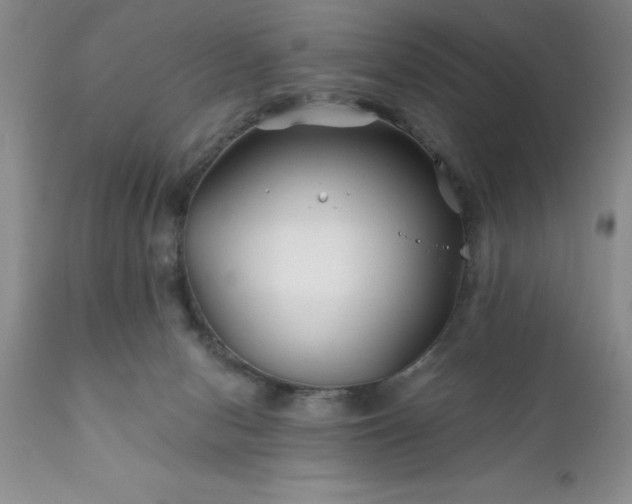 X0000111790078200907301155