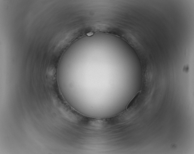 X0000111790079200907301155