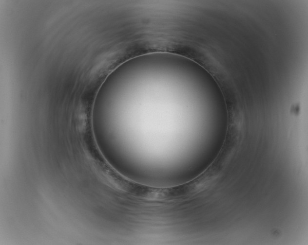 X0000111790080200907301155