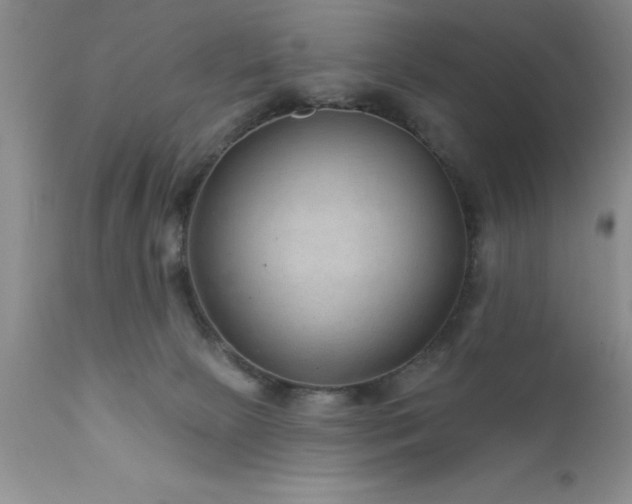 X0000111790081200907301155