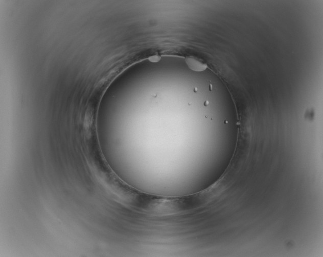 X0000111790082200907301155