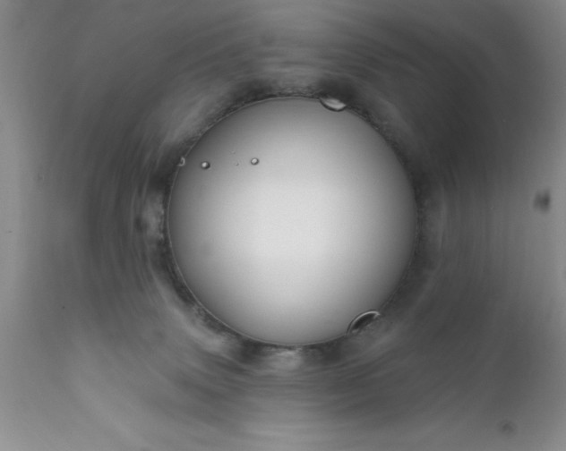 X0000111790083200907301155