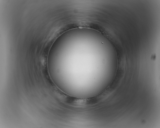 X0000111790084200907301155