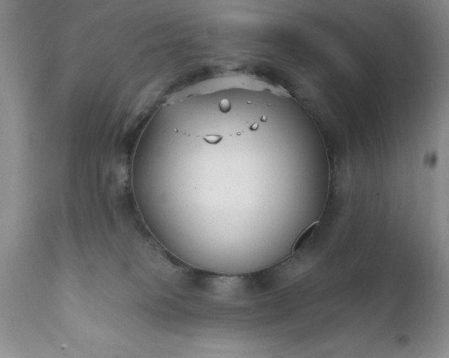 X0000111790085200907301155