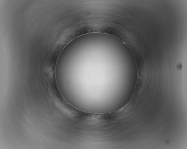 X0000111790086200907301155