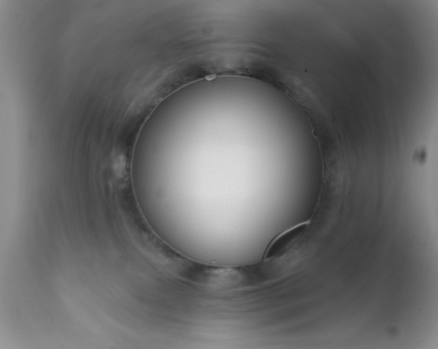 X0000111790087200907301155