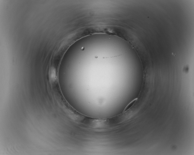 X0000111790089200907301155