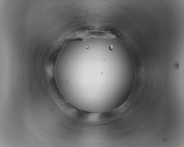 X0000111790090200907301155