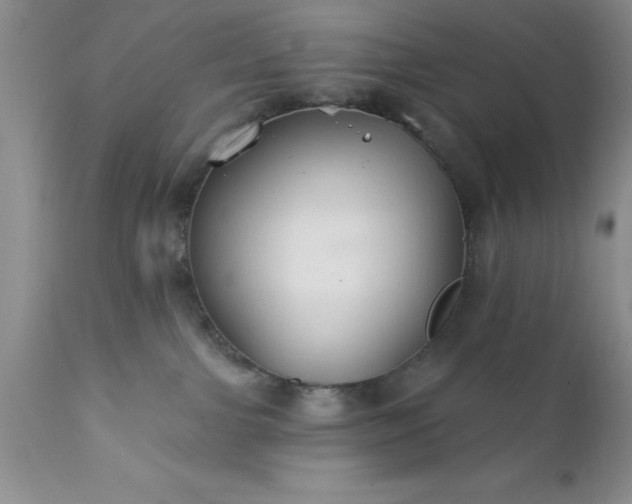 X0000111790091200907301155