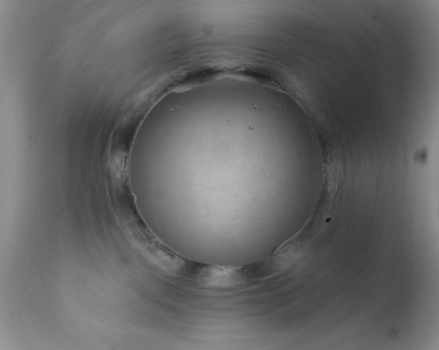 X0000111790093200907301155