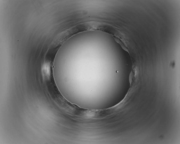 X0000111790094200907301155