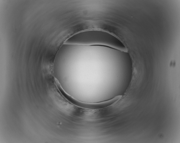 X0000111790096200907301155