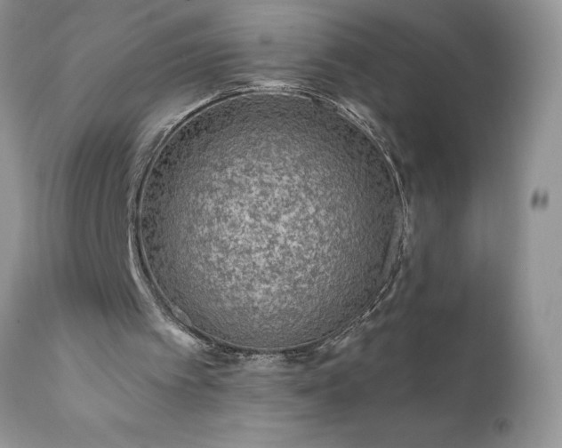 X0000111790097200907301154