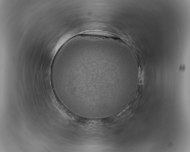 X0000111790099200907301154