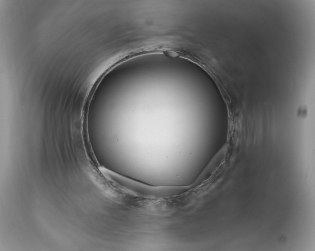 X0000111790100200907301154