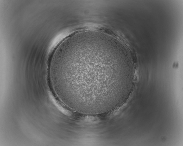 X0000111790101200907301154